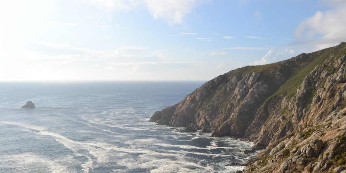 Potężne ptaszydła z sawanny atrakcją w agroturystyce.