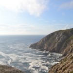 Potężne ptaszydła z sawanny atrakcją w agroturystyce.