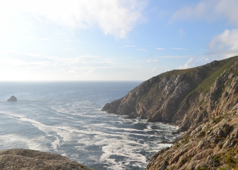 Potężne ptaszydła z sawanny atrakcją w agroturystyce.
