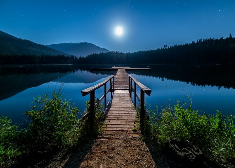 Zakupy bielizny dla kobiet przez internet