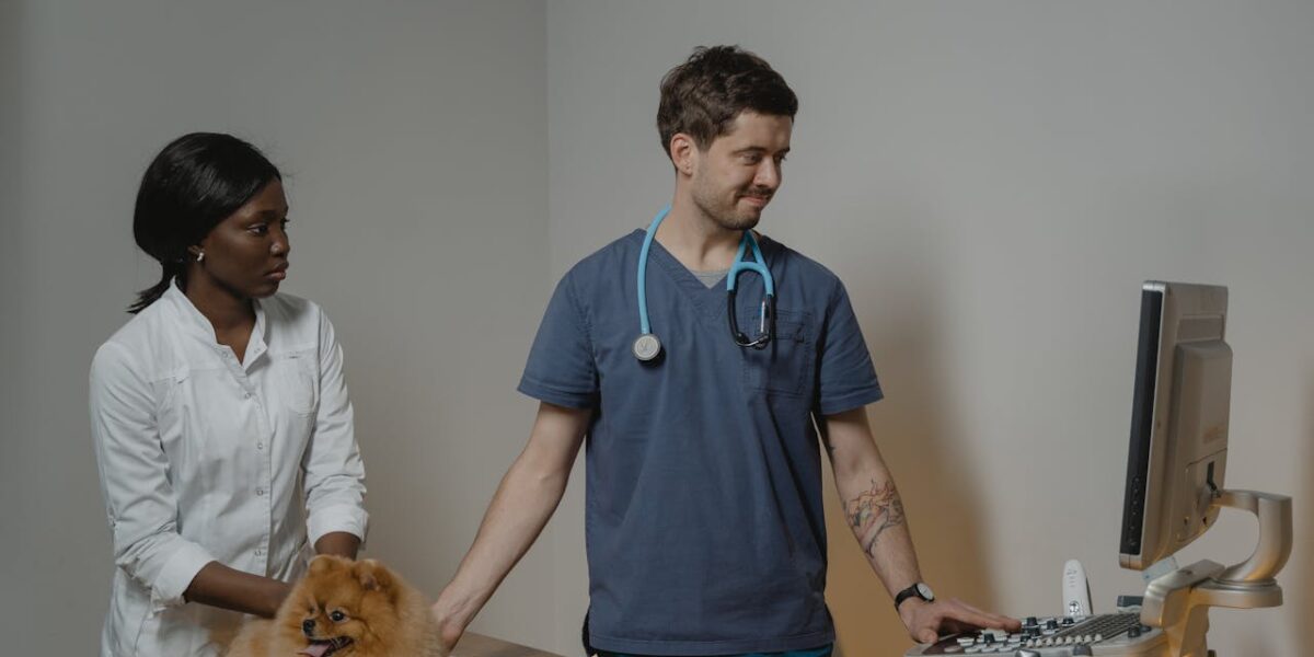 Jak poznać, że pies jest chory?