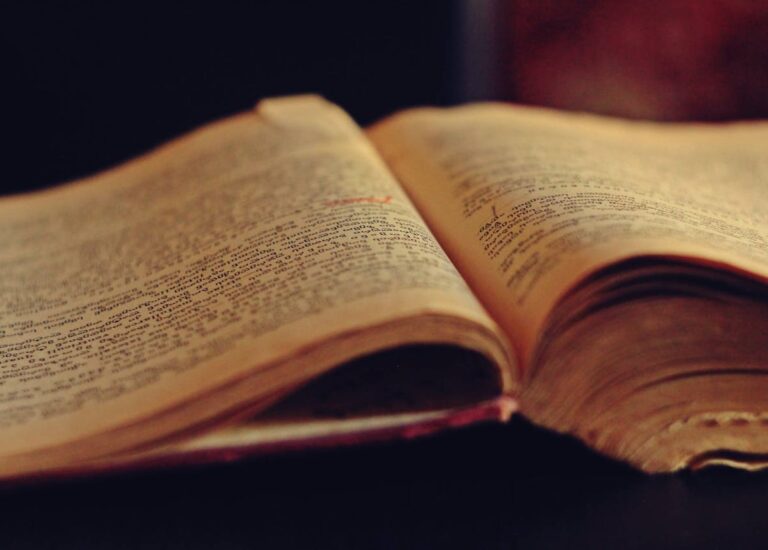 <strong>Jak ocenić wartość swojej kolekcji książek?</strong>