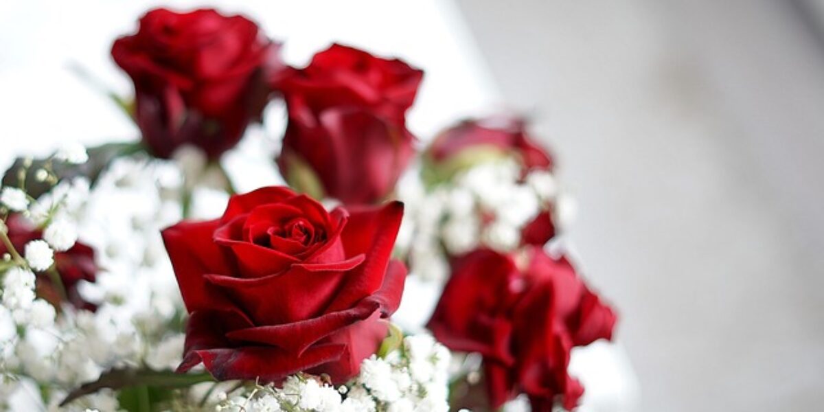 Jak serwis komputerowy może uratować Twój laptop po zalaniu?